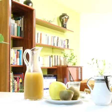Apartman Contemporary In - 45 Sqm - Wheelchair Access Salamanca